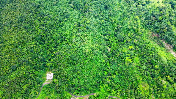 Third image of Craig Mill, Buff Bay Port in Craigmill, Portland, Jamaica - property is For Sale