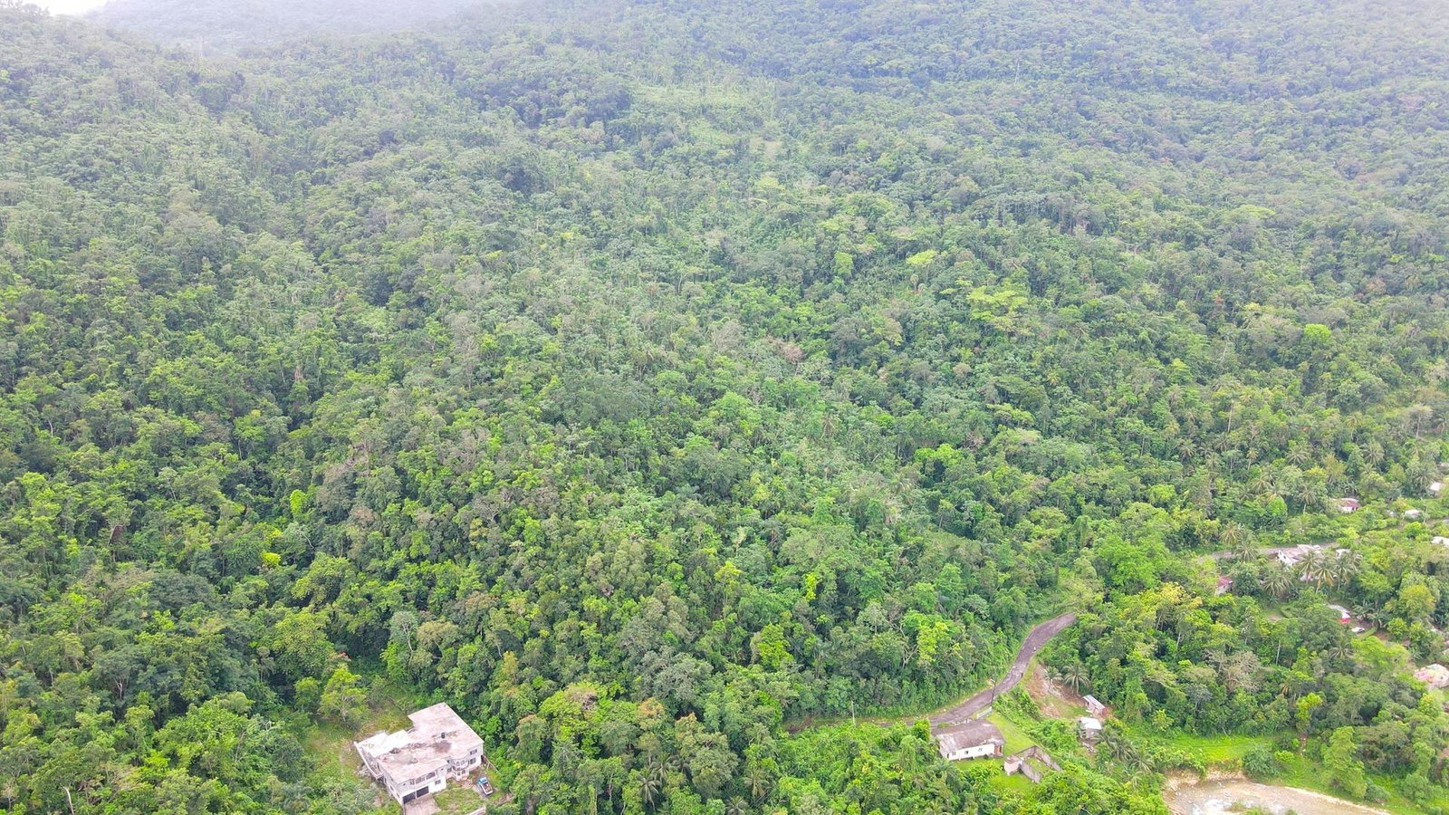 Fourth image of Craig Mill, Buff Bay Port in Craigmill, Portland, Jamaica - property is For Sale