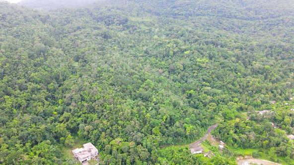 Fourth image of Craig Mill, Buff Bay Port in Craigmill, Portland, Jamaica - property is For Sale