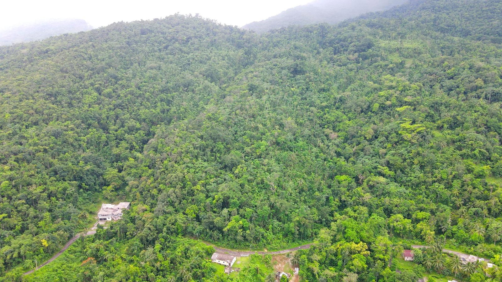 Fifth image of Craig Mill, Buff Bay Port in Craigmill, Portland, Jamaica - property is For Sale
