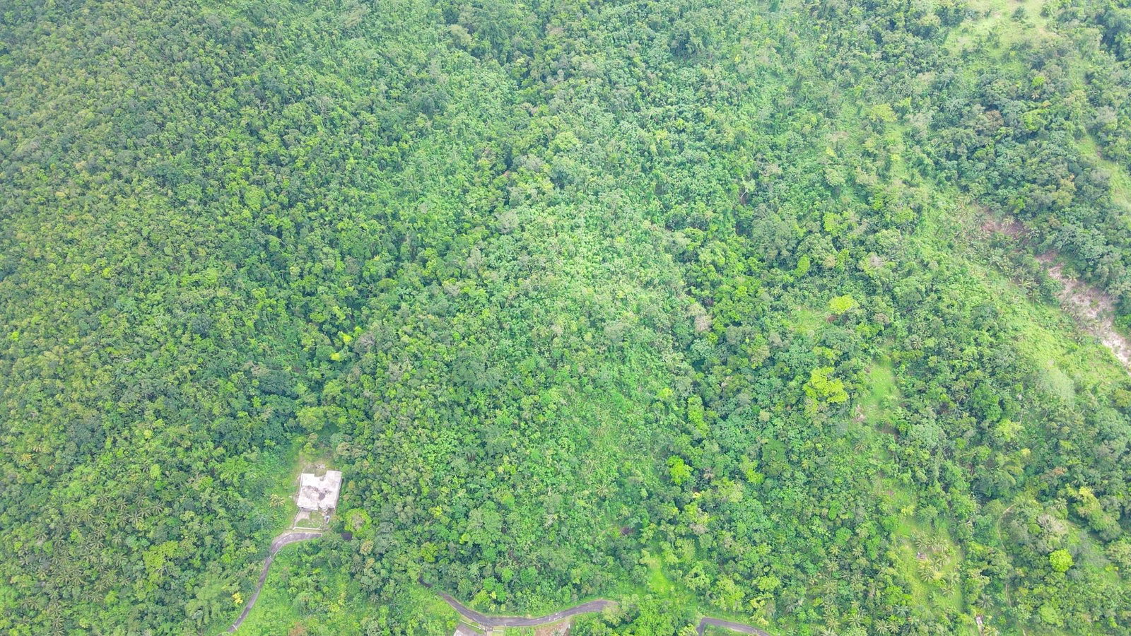 Sixth image of Craig Mill, Buff Bay Port in Craigmill, Portland, Jamaica - property is For Sale