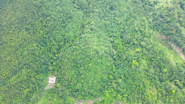Sixth image of Craig Mill, Buff Bay Port in Craigmill, Portland, Jamaica - property is For Sale