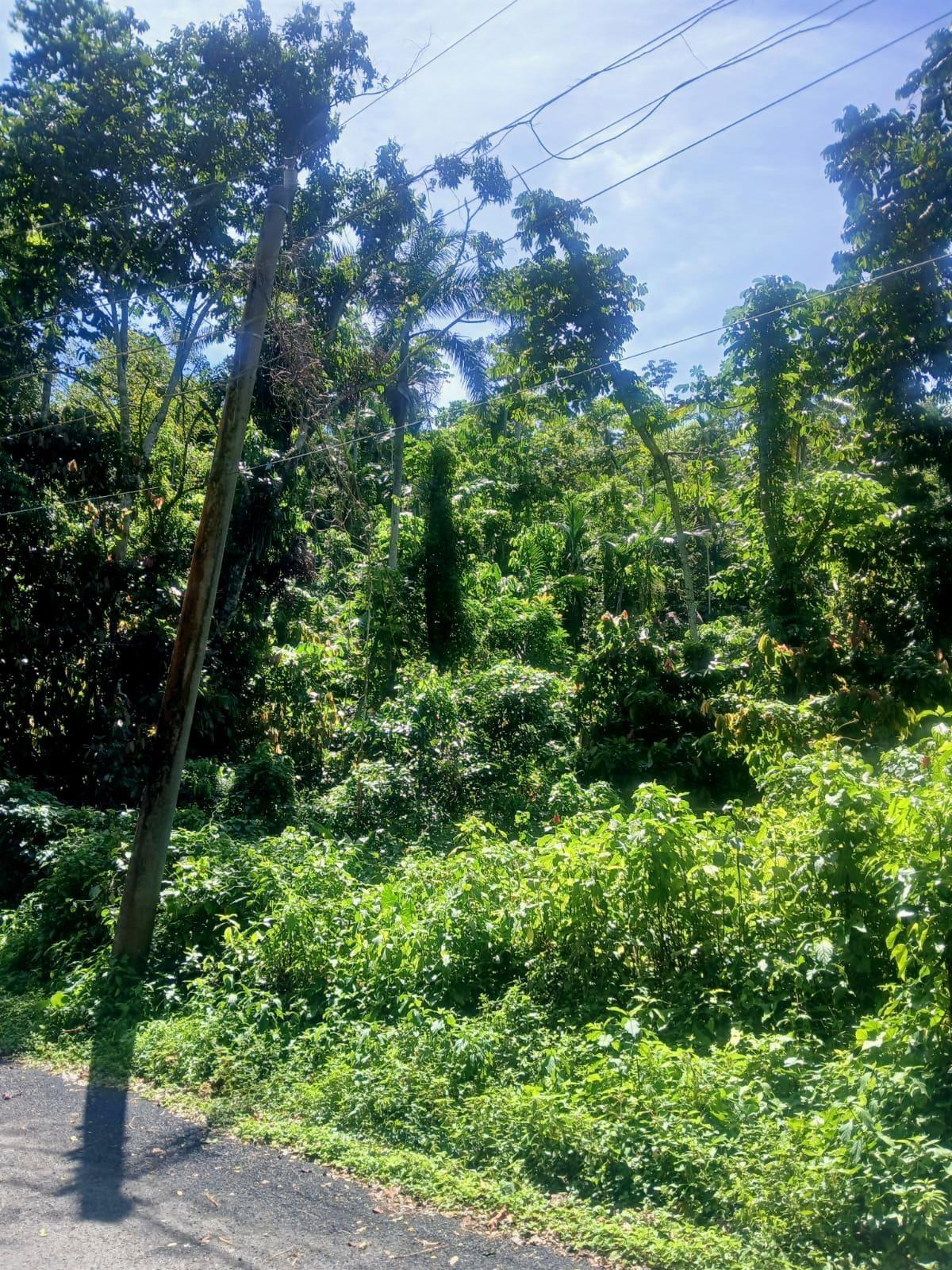 Eighth image of Craig Mill, Buff Bay Port in Craigmill, Portland, Jamaica - property is For Sale