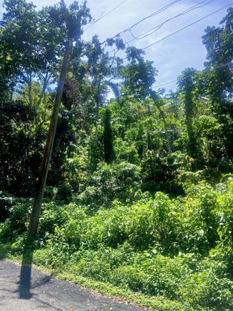 Eighth image of Craig Mill, Buff Bay Port in Craigmill, Portland, Jamaica - property is For Sale