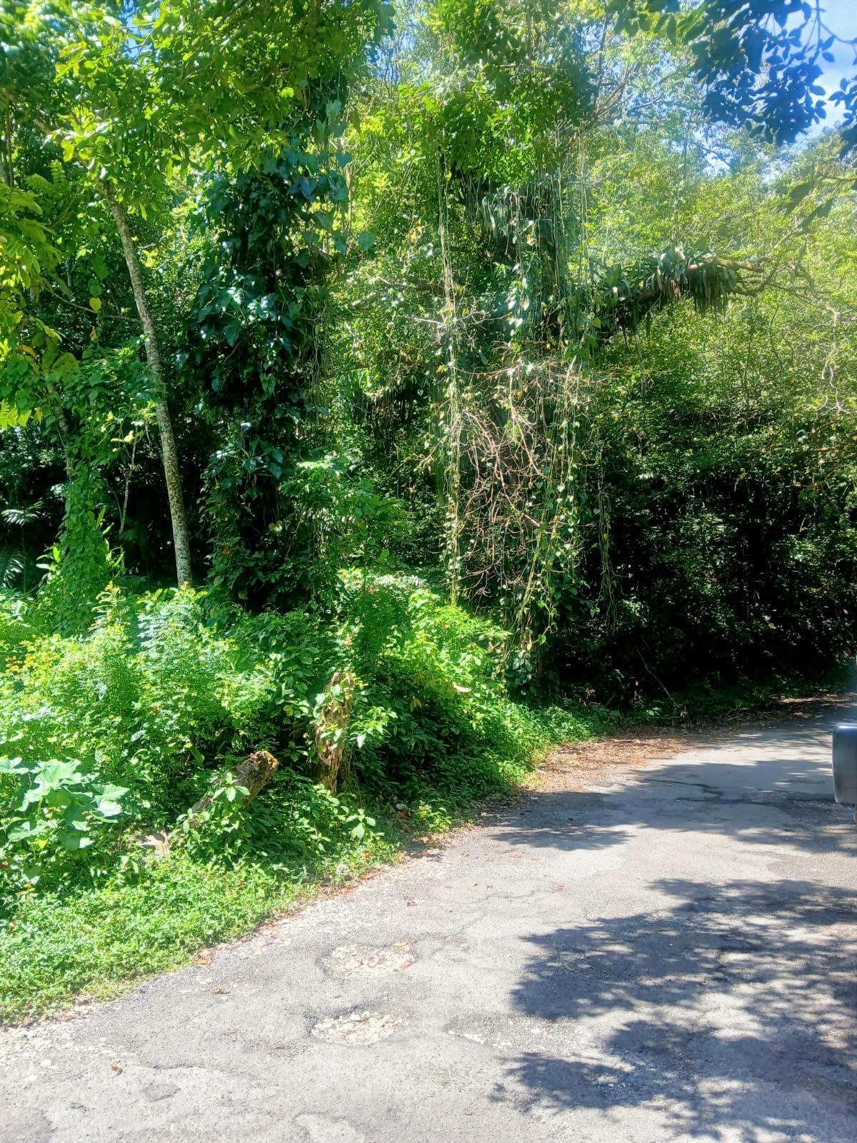 Ninth image of Craig Mill, Buff Bay Port in Craigmill, Portland, Jamaica - property is For Sale