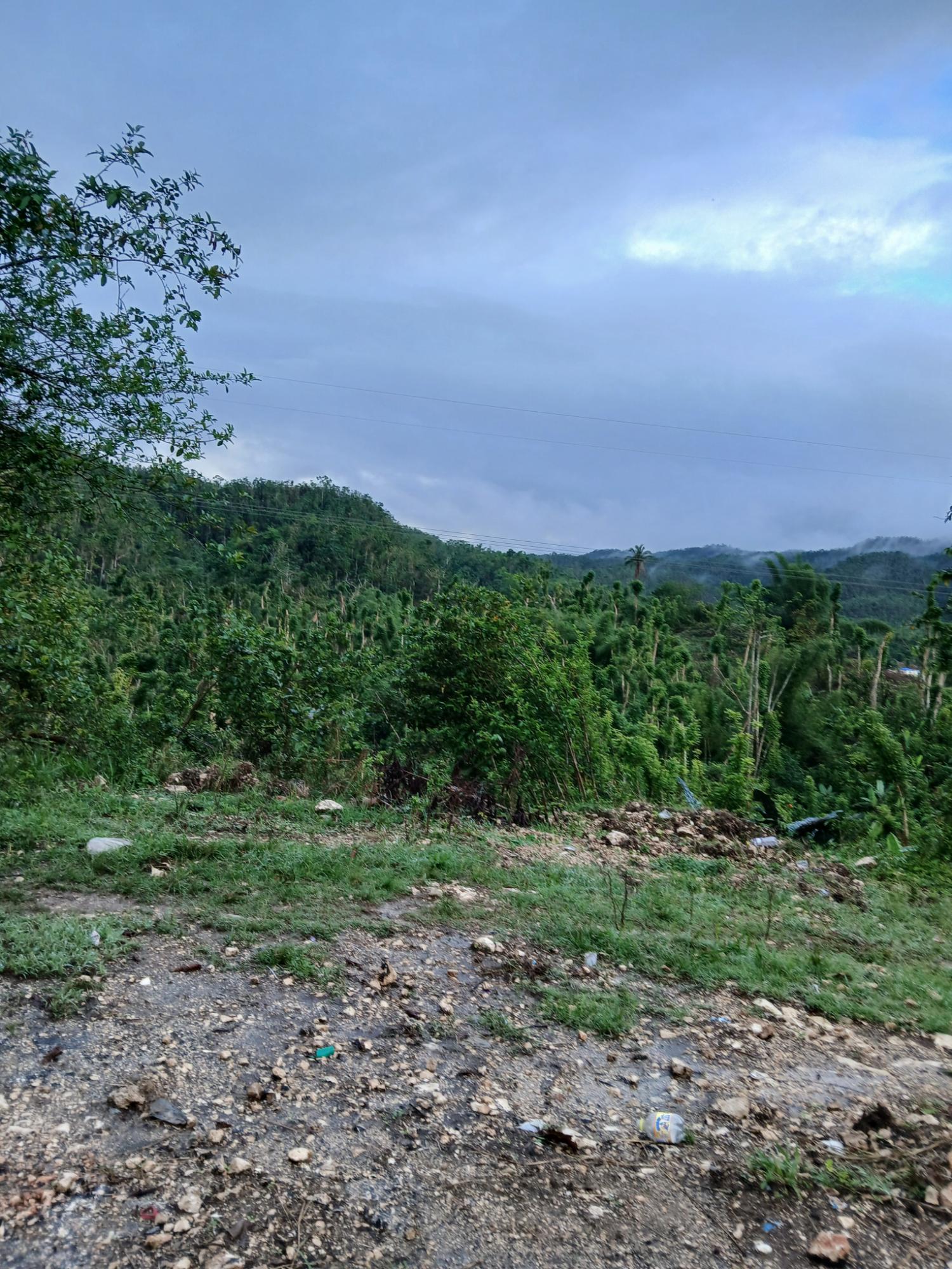 First image of Buy Hall Ulster Spring in Ulster Spring, Trelawny, Jamaica - property is For Sale