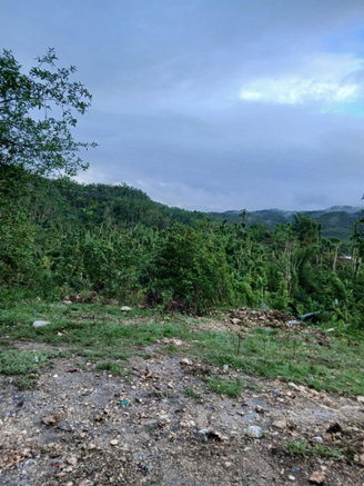 First image of Buy Hall Ulster Spring in Ulster Spring, Trelawny, Jamaica - property is For Sale