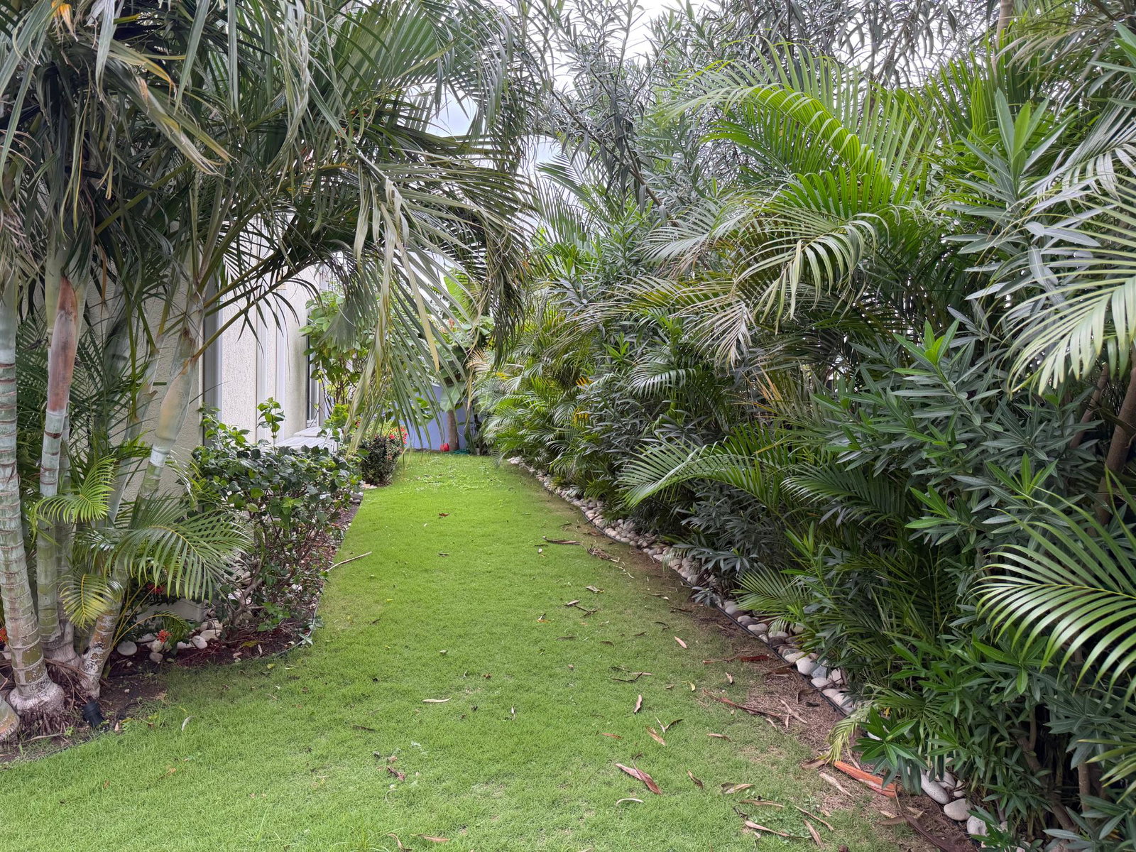 Fifteenth image of Lot#16-villa Drax Hall, St. Ann in Drax Hall Estate, St. Ann, Jamaica - property is For Rent