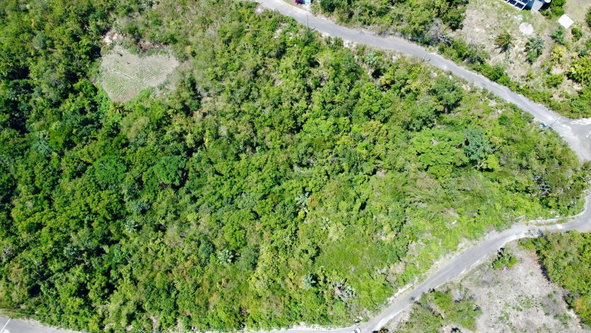 Tenth image of 158 Culloden in WHITEHOUSE, Westmoreland, Jamaica - property is For Sale