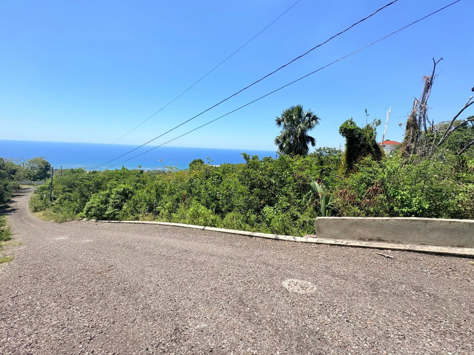 Eleventh image of 158 Culloden in WHITEHOUSE, Westmoreland, Jamaica - property is For Sale