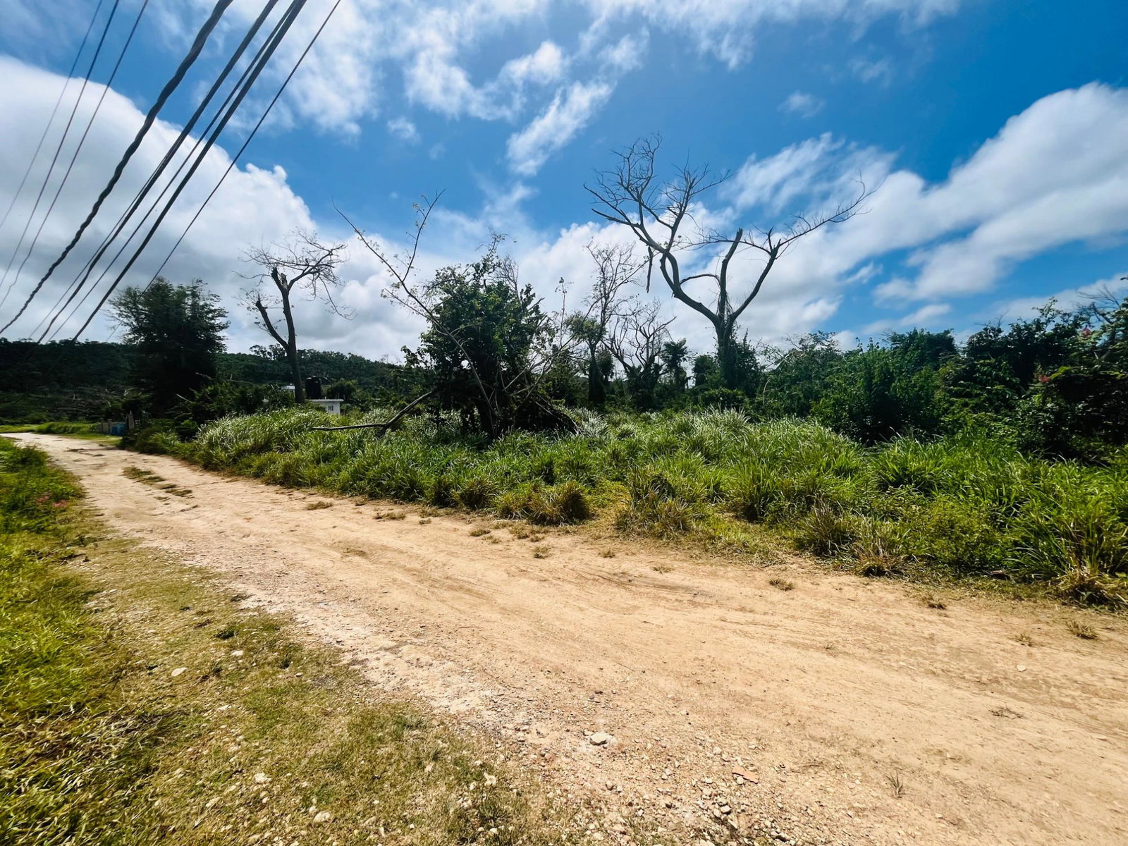 Fifth image of 166 Planters Way, Duncans Bay in DUNCAN BAY, Trelawny, Jamaica - property is For Sale