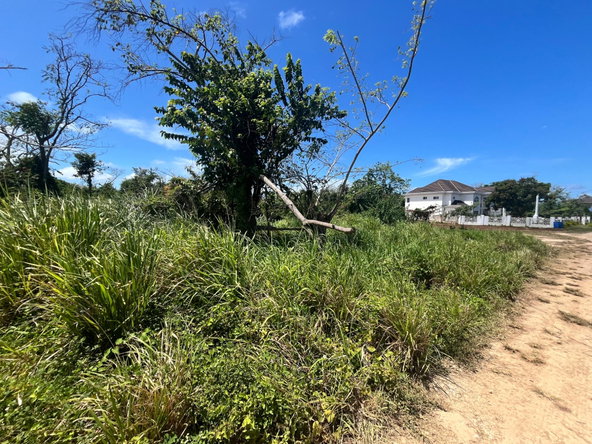 Sixth image of 166 Planters Way, Duncans Bay in DUNCAN BAY, Trelawny, Jamaica - property is For Sale