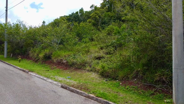 Third image of 348 Moorlands Manor (phase 3a in Mandeville, Manchester, Jamaica - property is For Sale