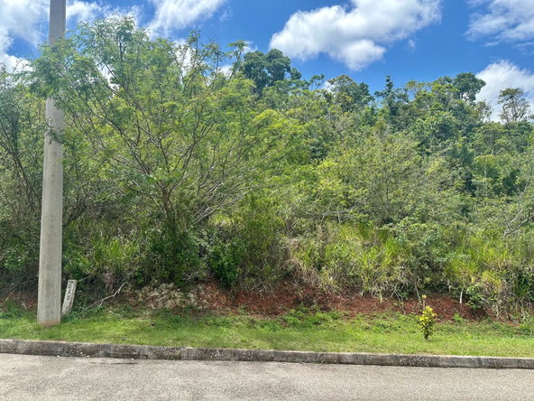 Fourth image of 348 Moorlands Manor (phase 3a in Mandeville, Manchester, Jamaica - property is For Sale