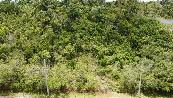 Ninth image of 348 Moorlands Manor (phase 3a in Mandeville, Manchester, Jamaica - property is For Sale