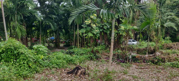 First image of Lot-21 Villa Road in Port Maria, St. Mary, Jamaica - property is For Sale