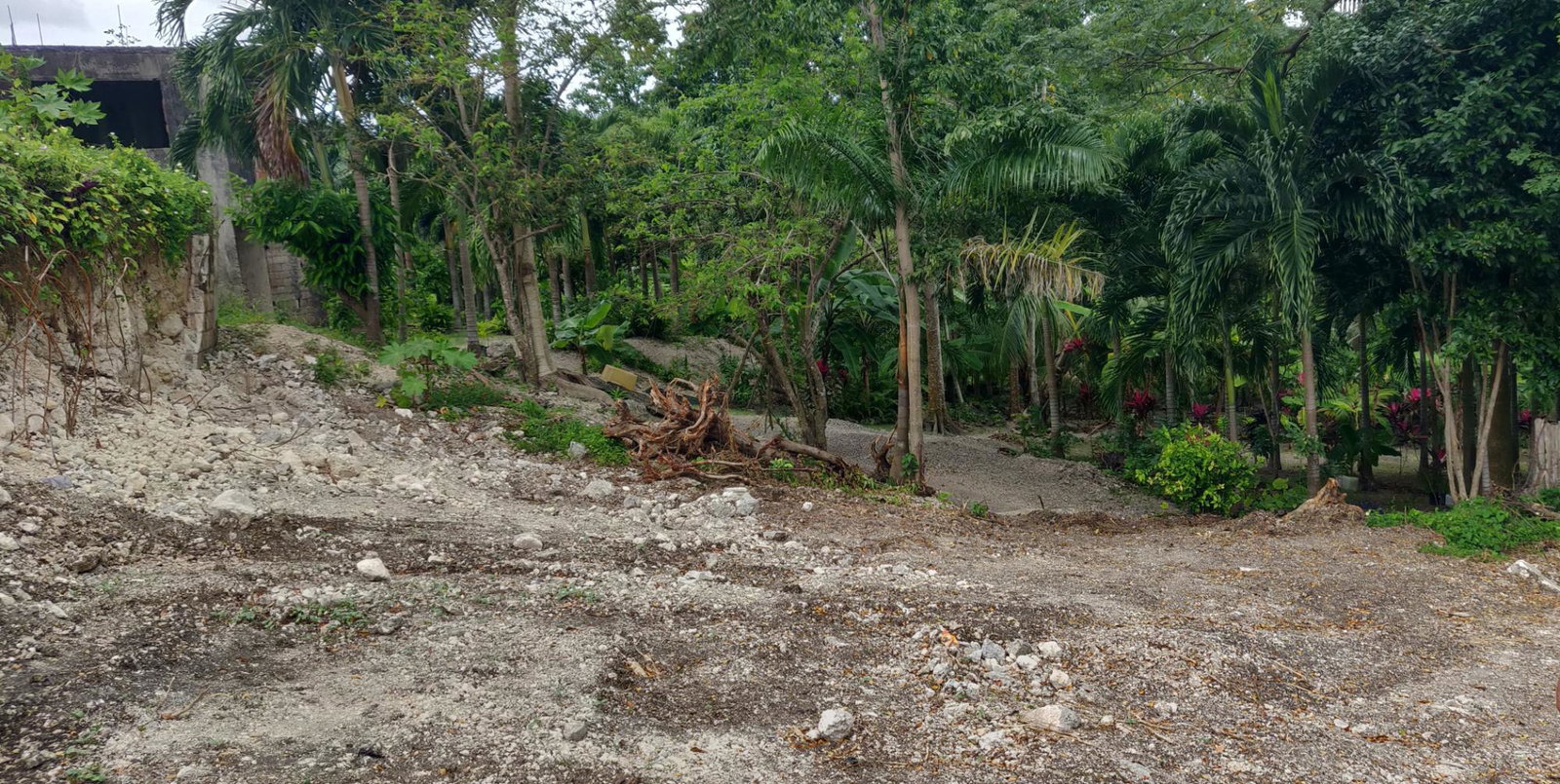 Sixth image of Lot-21 Villa Road in Port Maria, St. Mary, Jamaica - property is For Sale