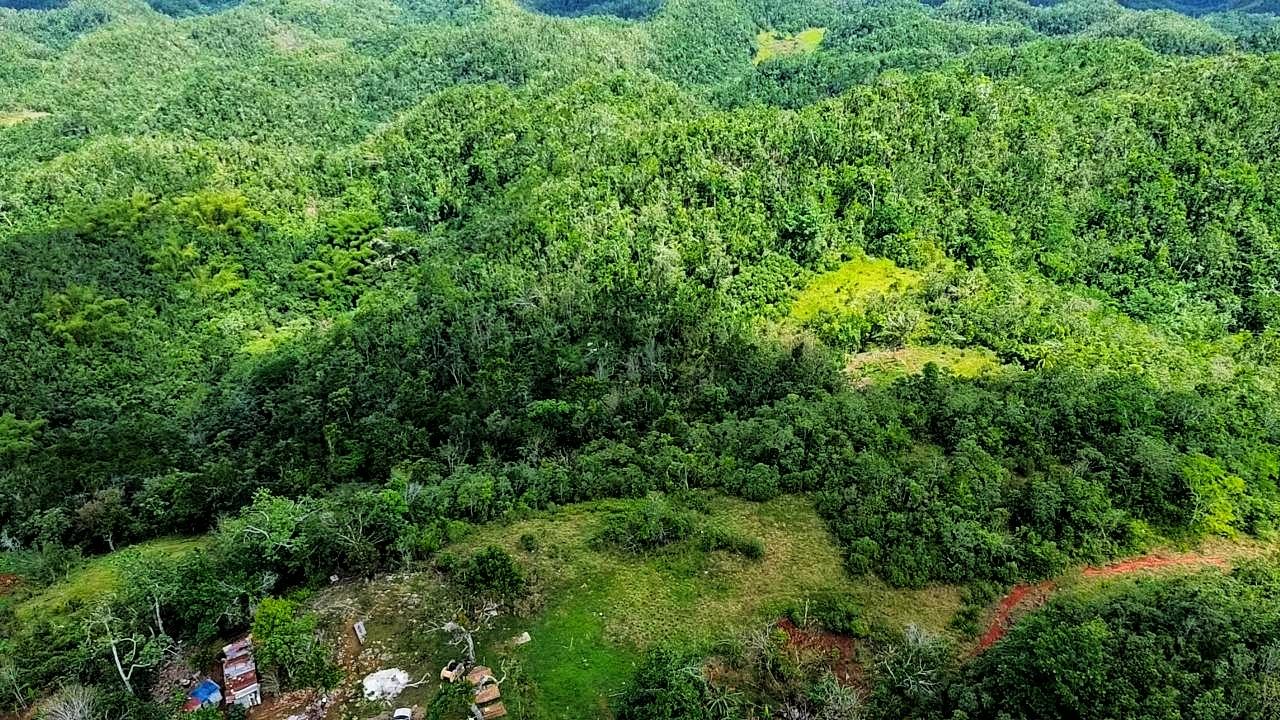 First image of Point Hill, st Catherine in Point Hill, St. Catherine, Jamaica - property is For Sale
