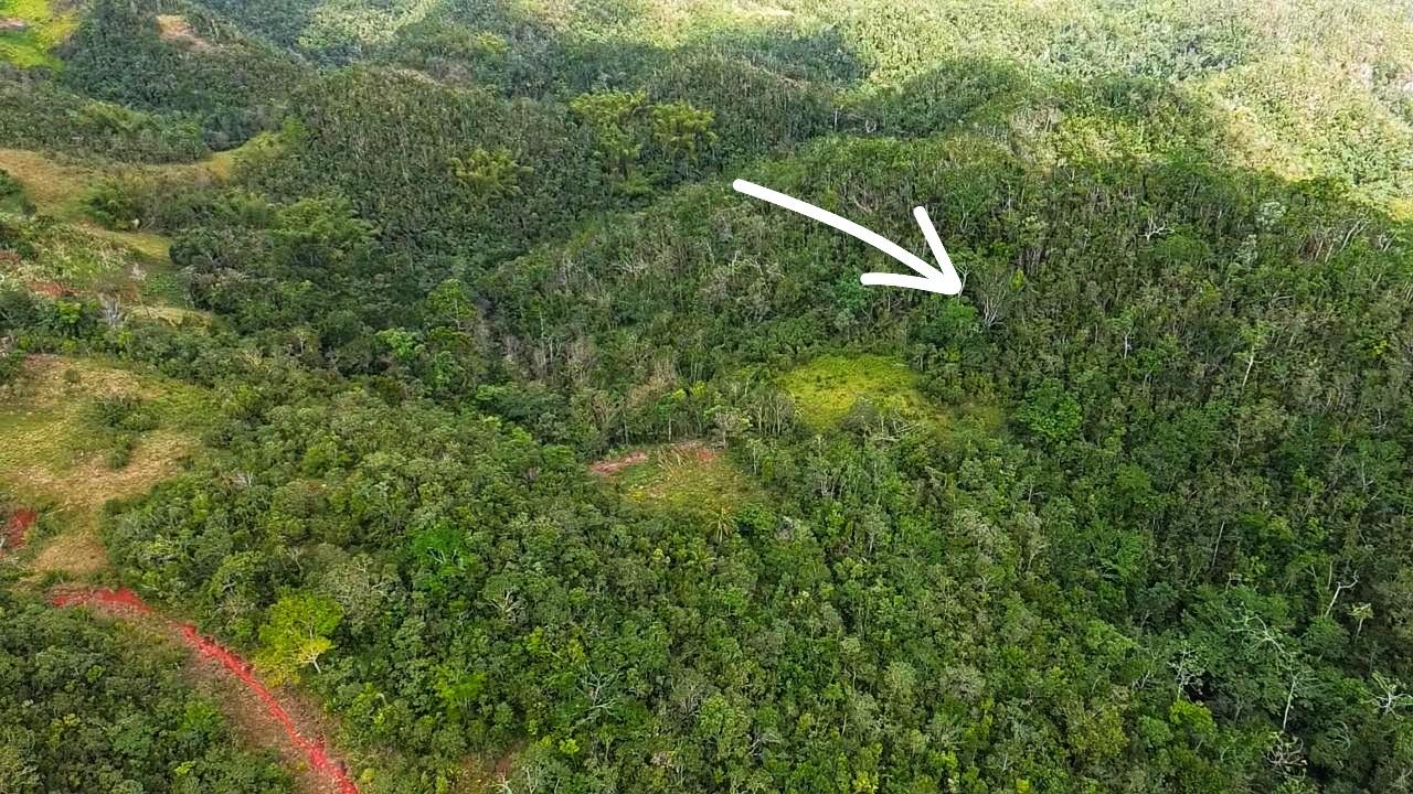 Third image of Point Hill, st Catherine in Point Hill, St. Catherine, Jamaica - property is For Sale