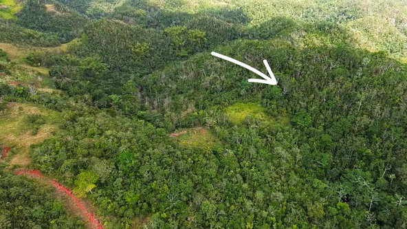 Third image of Point Hill, st Catherine in Point Hill, St. Catherine, Jamaica - property is For Sale