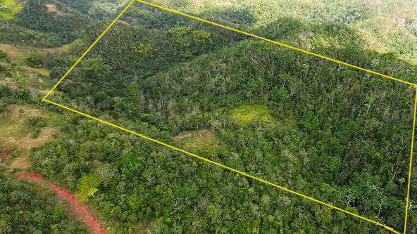 Fourth image of Point Hill, st Catherine in Point Hill, St. Catherine, Jamaica - property is For Sale