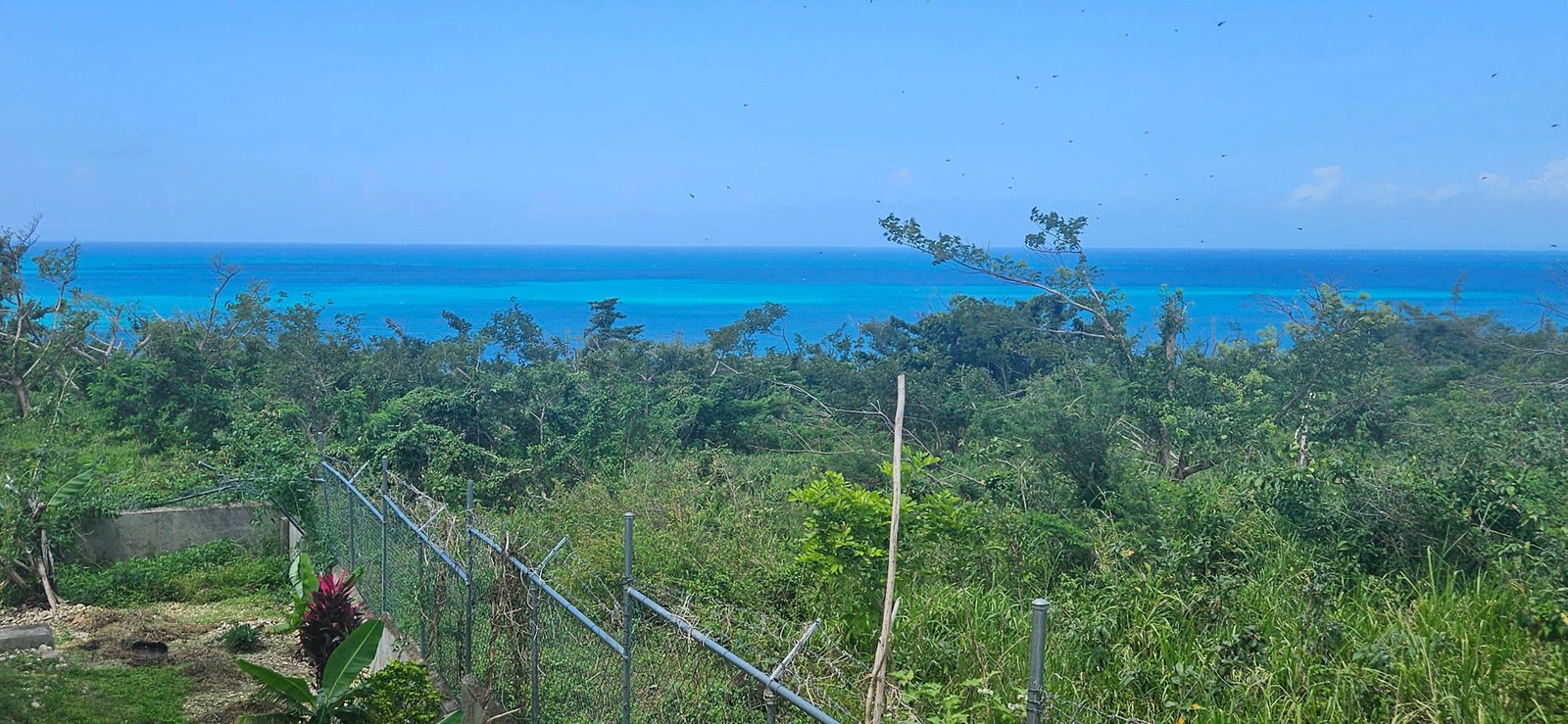 Second image of Belmont Gardens in Bluefield Garden, Westmoreland, Jamaica - property is For Sale