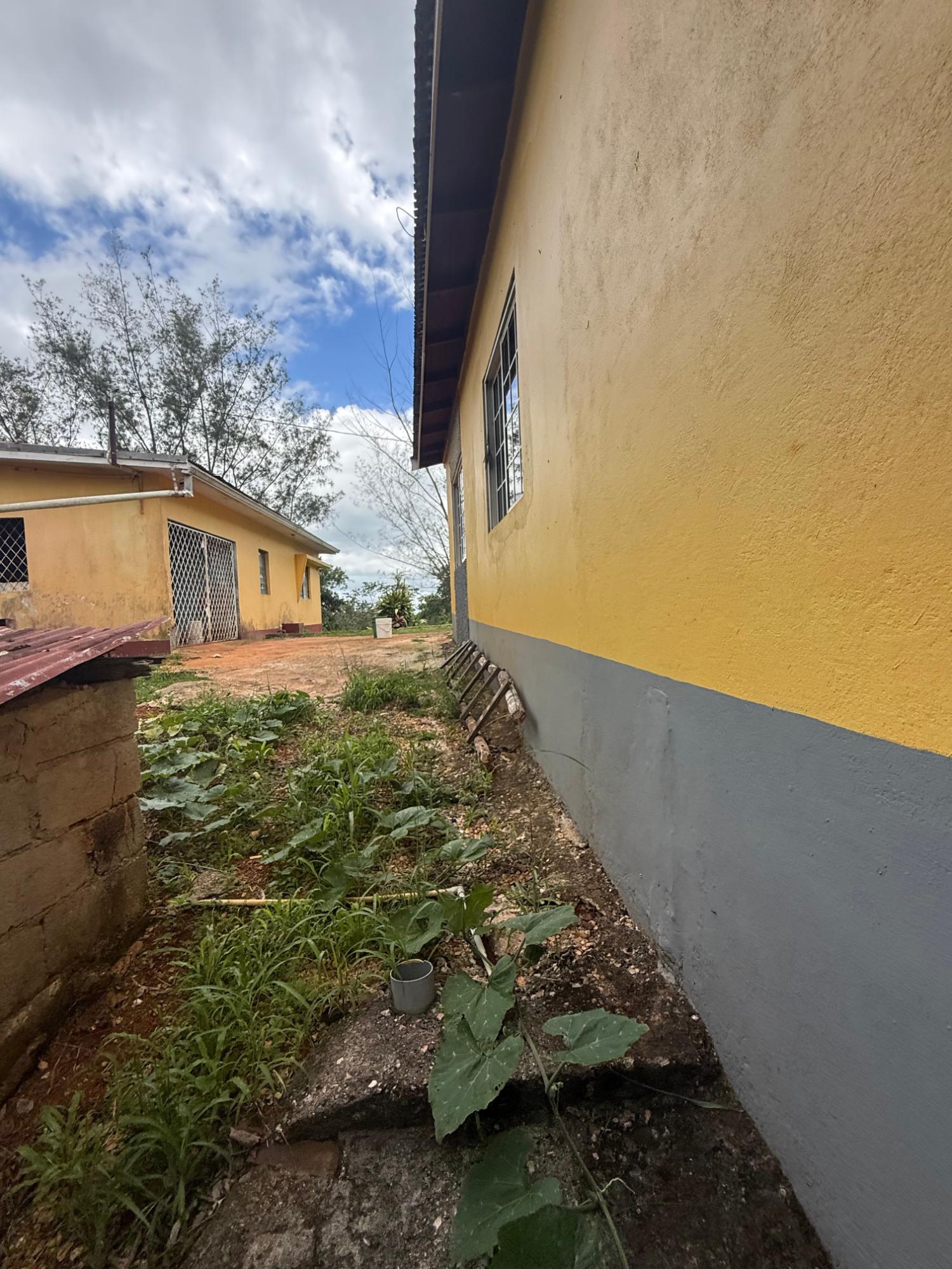 Tenth image of Chevely in Mandeville, Manchester, Jamaica - property is For Sale