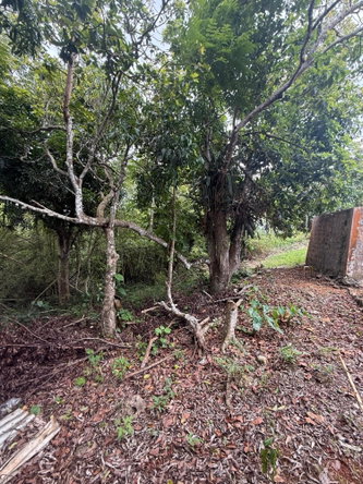 Eleventh image of Chevely in Mandeville, Manchester, Jamaica - property is For Sale
