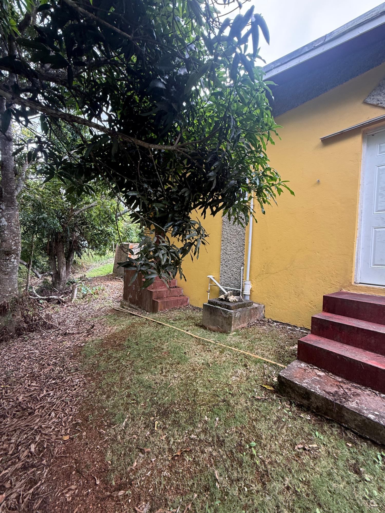Sixteenth image of Chevely in Mandeville, Manchester, Jamaica - property is For Sale