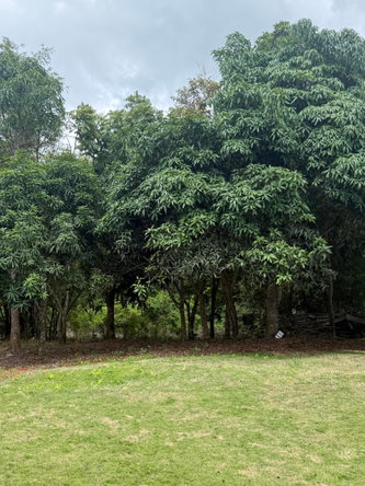 Eighteenth image of Chevely in Mandeville, Manchester, Jamaica - property is For Sale