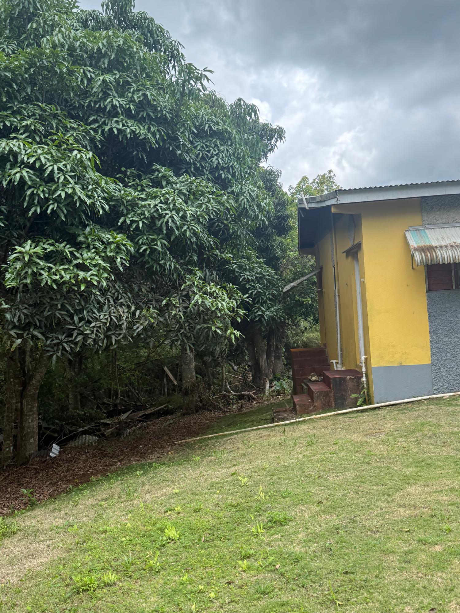 Nineteenth image of Chevely in Mandeville, Manchester, Jamaica - property is For Sale