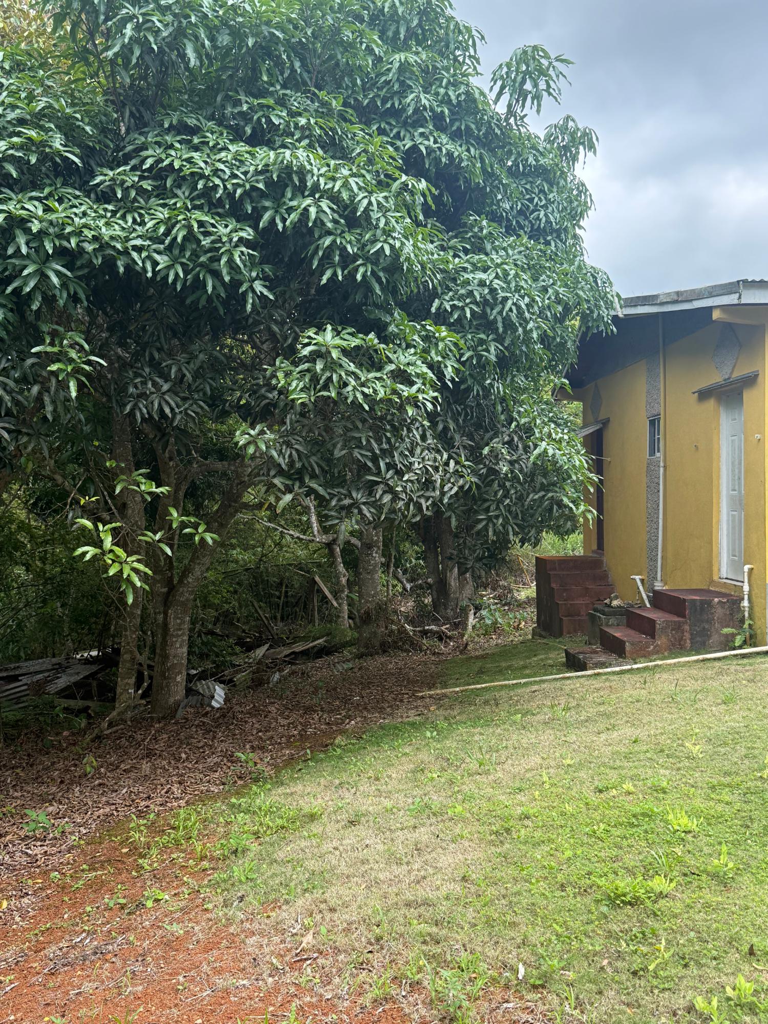 Twentieth image of Chevely in Mandeville, Manchester, Jamaica - property is For Sale