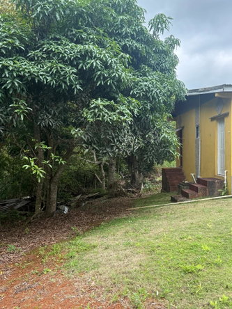 Twentieth image of Chevely in Mandeville, Manchester, Jamaica - property is For Sale