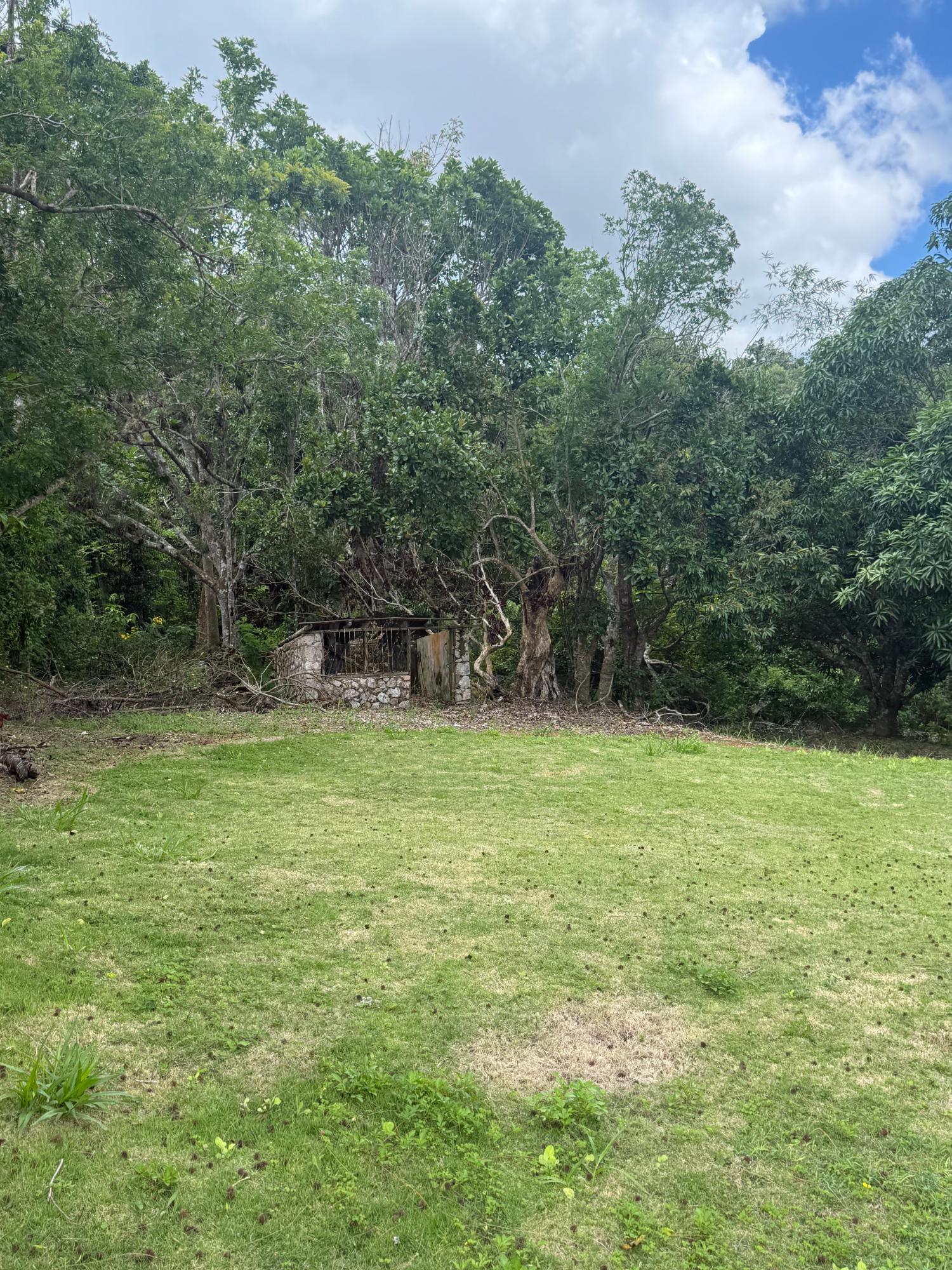 Twenty-First image of Chevely in Mandeville, Manchester, Jamaica - property is For Sale