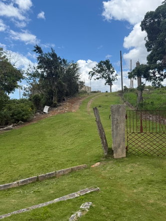 Twenty-Fifth image of Chevely in Mandeville, Manchester, Jamaica - property is For Sale