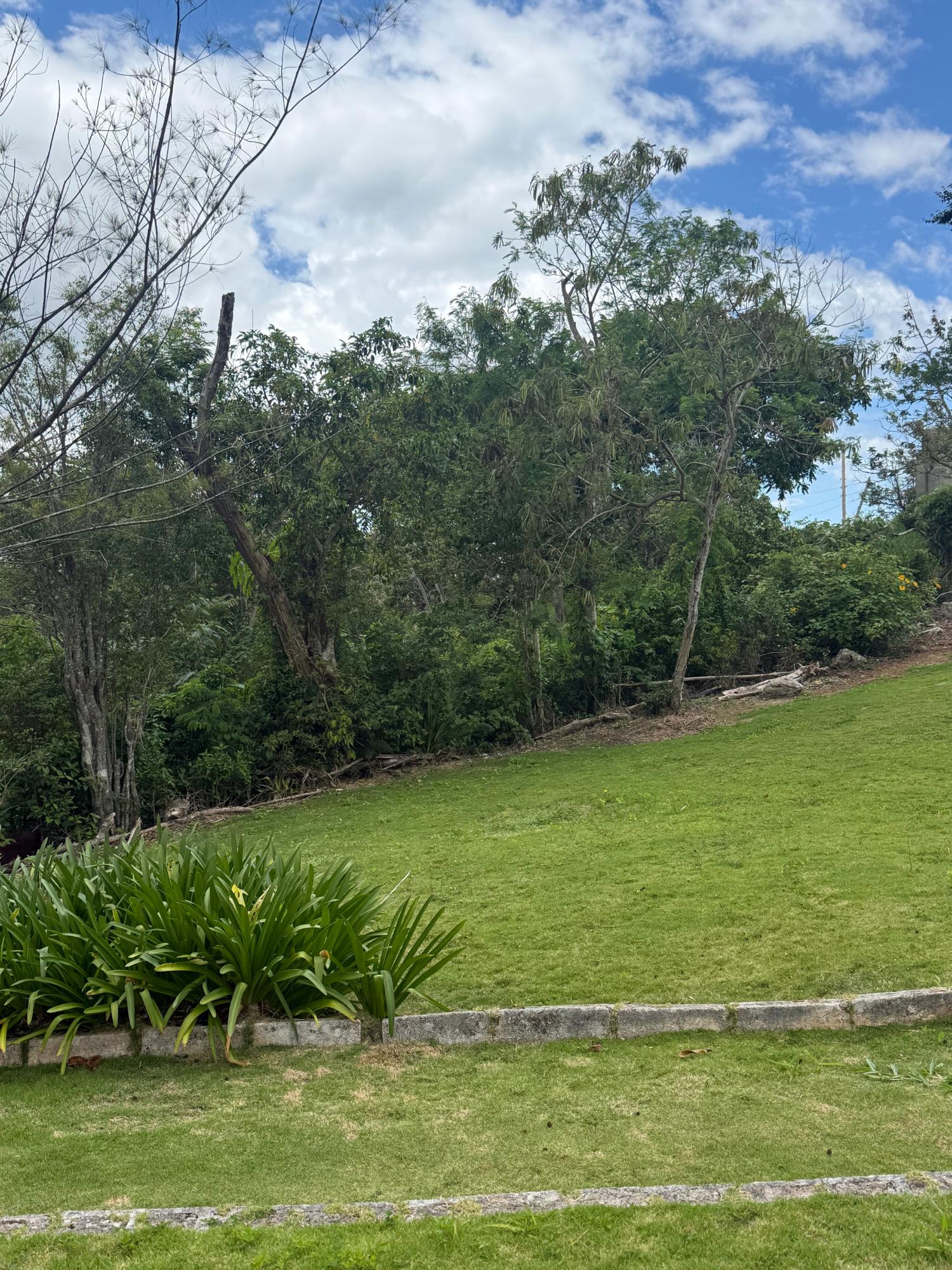 Twenty-Sixth image of Chevely in Mandeville, Manchester, Jamaica - property is For Sale