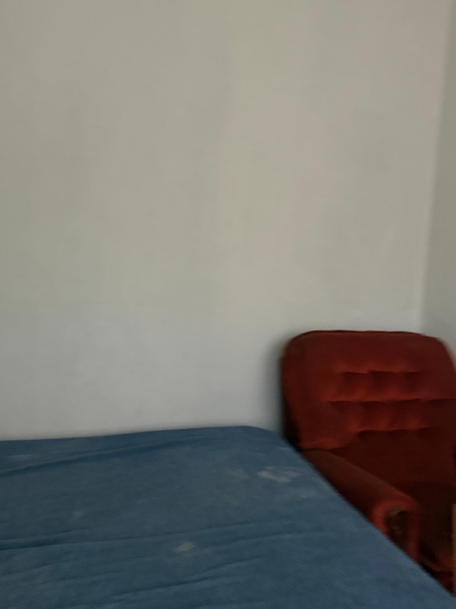 Twenty-Eighth image of Chevely in Mandeville, Manchester, Jamaica - property is For Sale