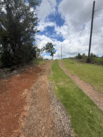 Fifth image of Chevely in Mandeville, Manchester, Jamaica - property is For Sale