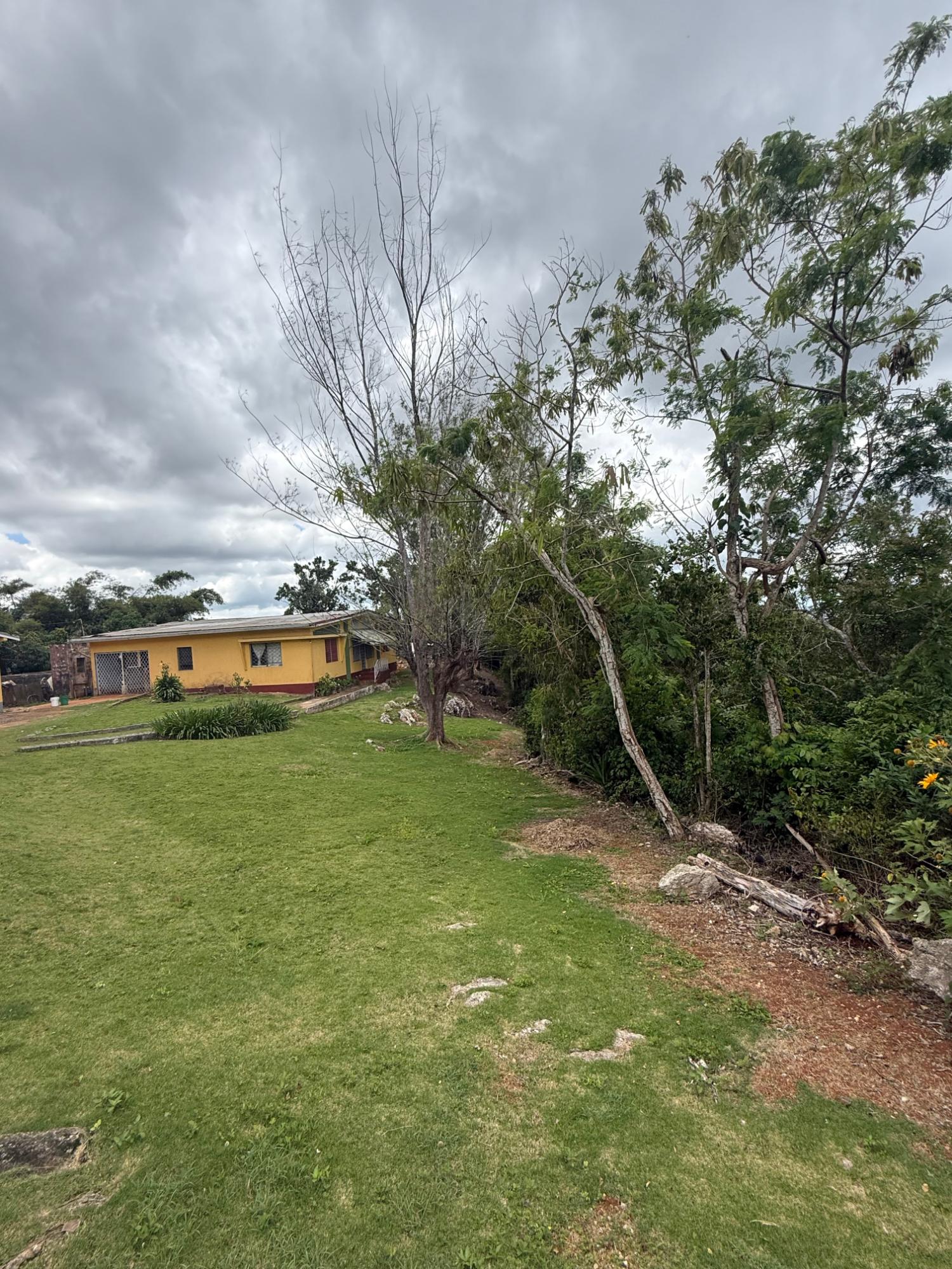 Sixth image of Chevely in Mandeville, Manchester, Jamaica - property is For Sale