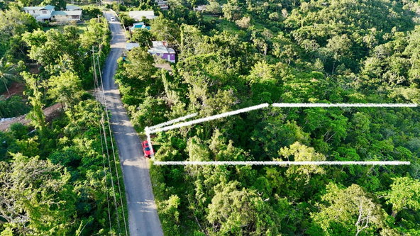 Second image of Retreat St. Mary in Retreat, St. Mary, Jamaica - property is For Sale