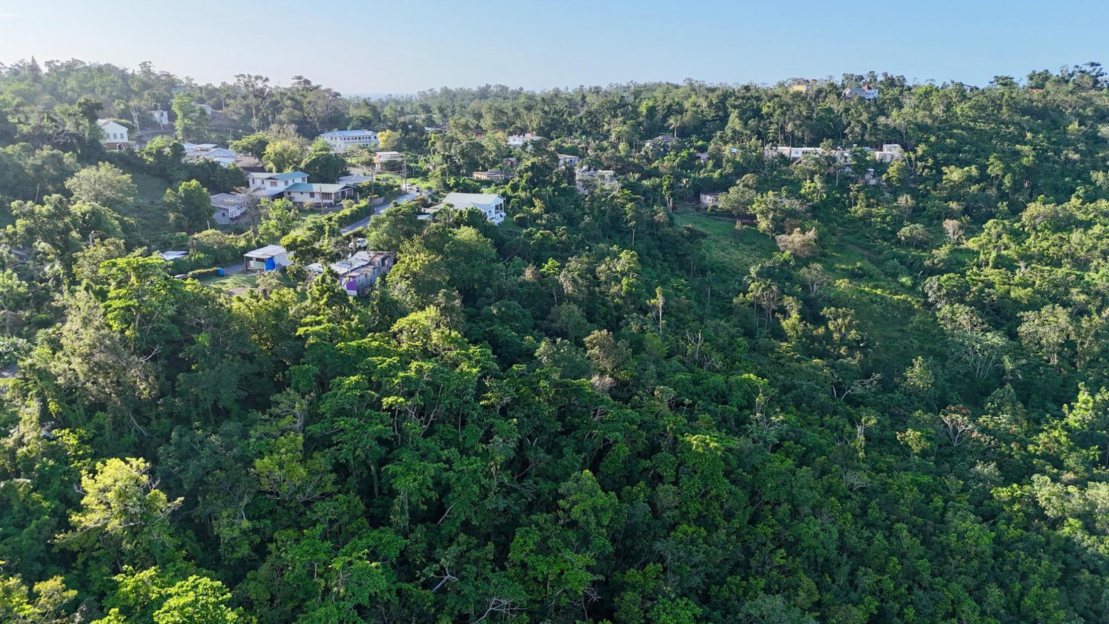 Fifth image of Retreat St. Mary in Retreat, St. Mary, Jamaica - property is For Sale