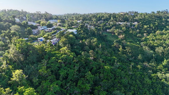 Fifth image of Retreat St. Mary in Retreat, St. Mary, Jamaica - property is For Sale