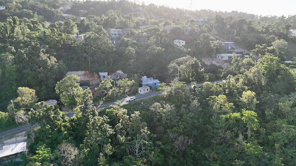 Sixth image of Retreat St. Mary in Retreat, St. Mary, Jamaica - property is For Sale