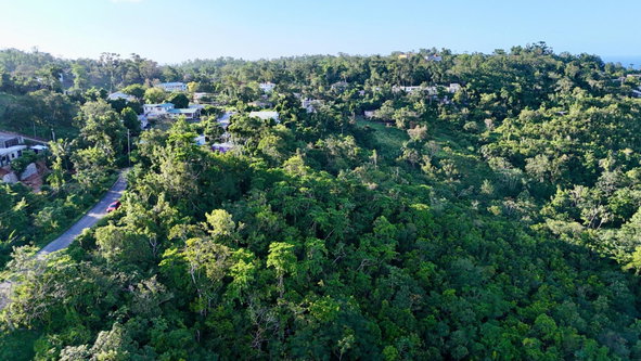 Seventh image of Retreat St. Mary in Retreat, St. Mary, Jamaica - property is For Sale