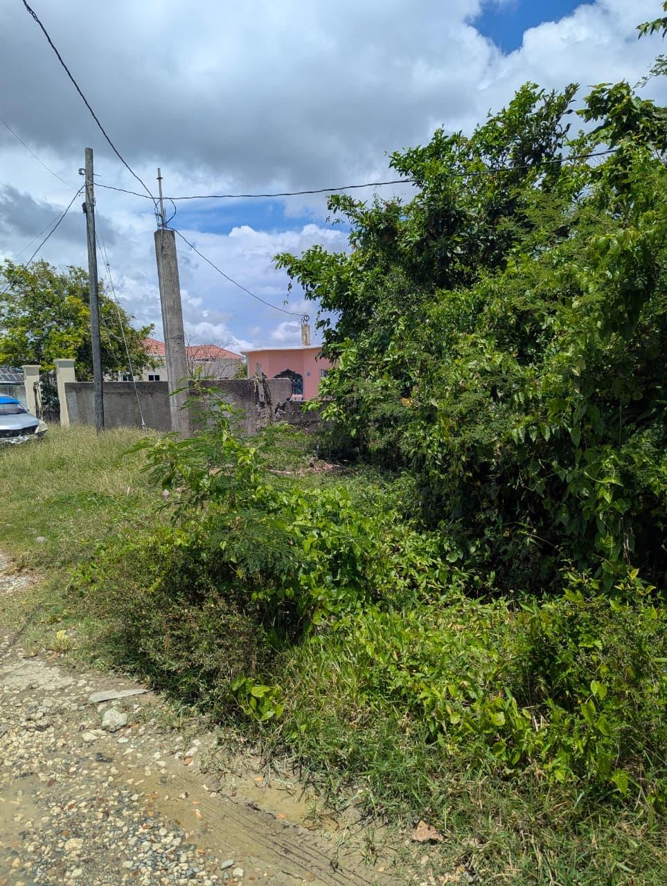 Seventh image of Part of Prospect in Lyssons, St. Thomas, Jamaica - property is For Sale