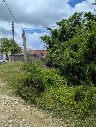 Seventh image of Part of Prospect in Lyssons, St. Thomas, Jamaica - property is For Sale