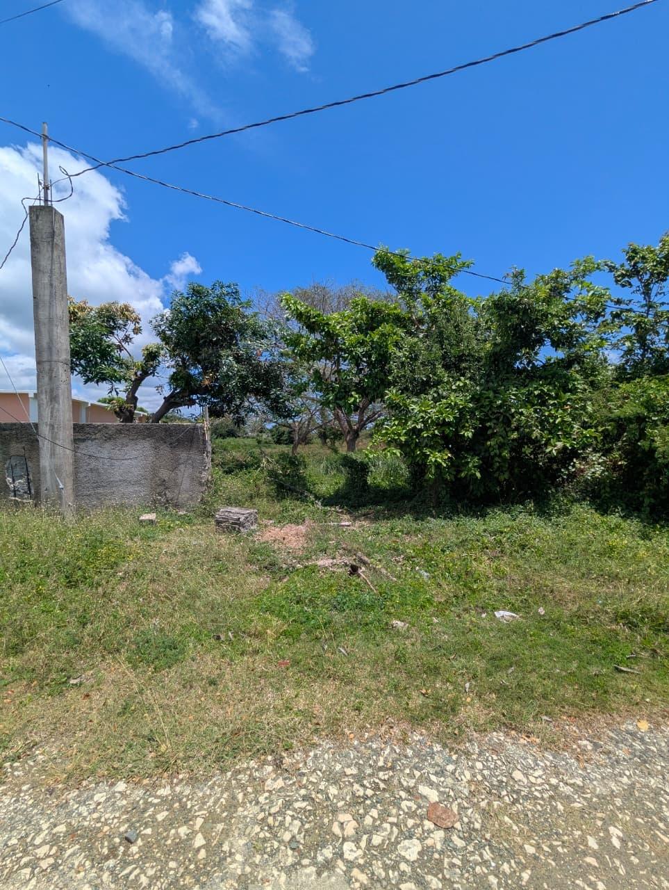 Eighth image of Part of Prospect in Lyssons, St. Thomas, Jamaica - property is For Sale
