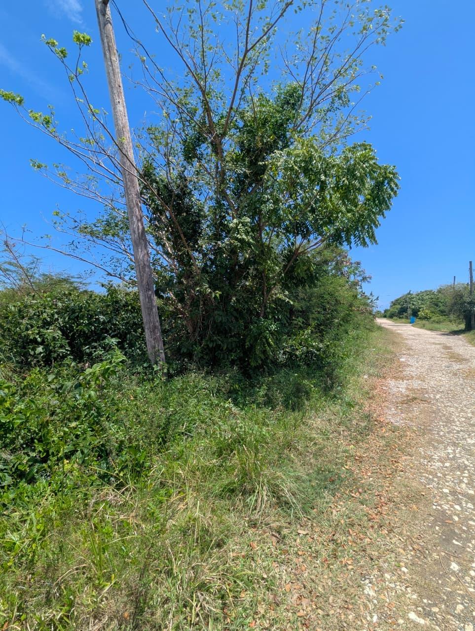 Ninth image of Part of Prospect in Lyssons, St. Thomas, Jamaica - property is For Sale