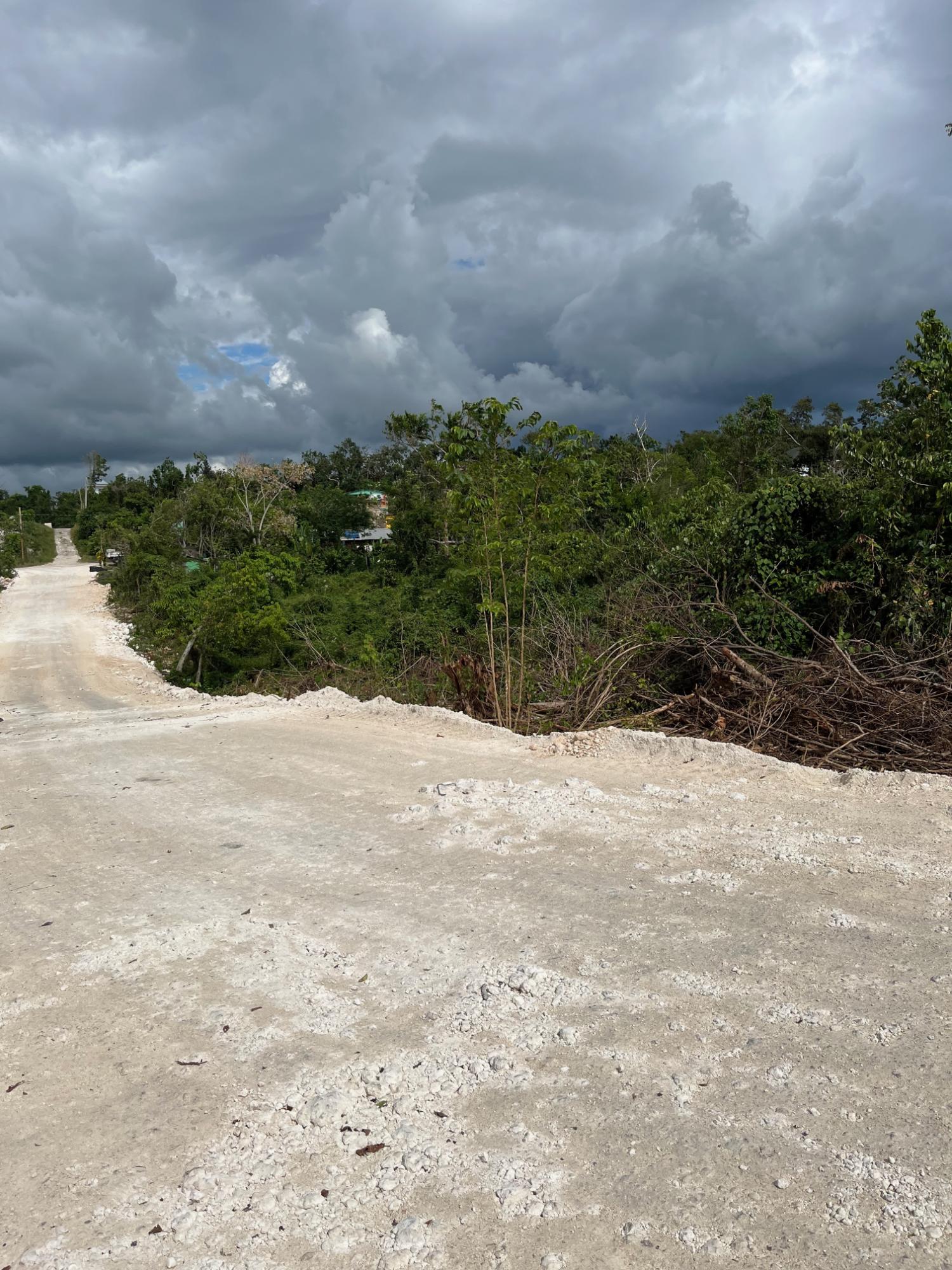 Ninth image of Westlands in Negril, Westmoreland, Jamaica - property is For Sale
