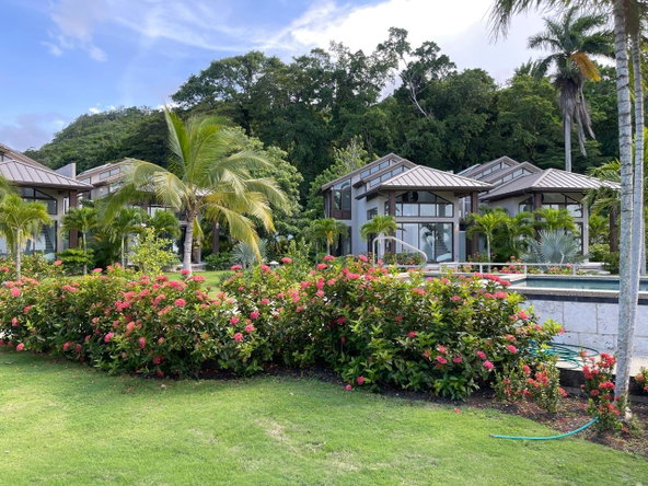 Twenty-Sixth image of 1- Oracabessa, St. Mary in Oracabessa, St. Mary, Jamaica - property is For Sale
